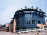 Discovery Bay CMO